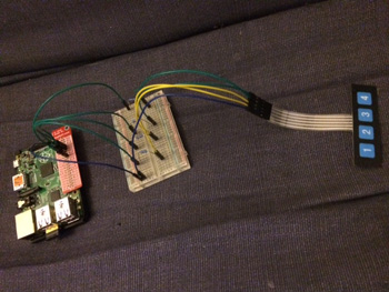 membrane dev